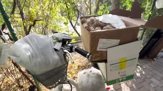 А вы видели КАК ПЛАВАЮТ ПОПУГАИ Жорик идет купаться.