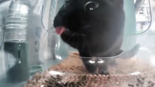 Mr. bleh