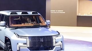 BYD U 8