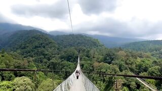 Sky bridge on the jungle