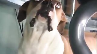 Счастье не в деньгах!