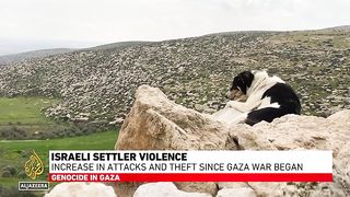 "Surge in settler attacks, home demolitions and evictions in West Bank post Israel-Gaza War"