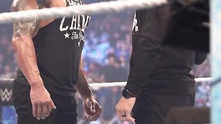 WWE fight