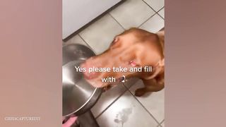 Funny dog videos to bring you joy