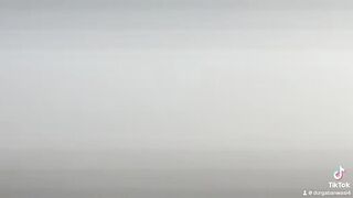 Flying birds