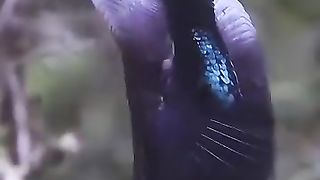 Master of disguise! Wow