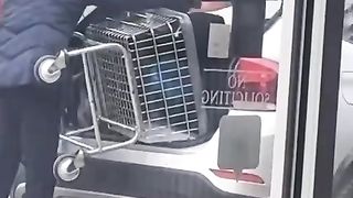 A thief experiences a little politic justice.