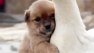 Heart Touching Moments Not To