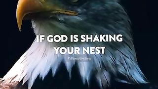 __Motivational_quotes_