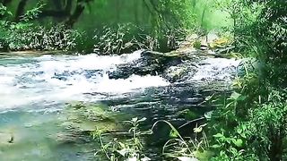 "Symphony of Nature: Captivating Scenery That Soothes the Soul"