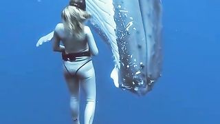 Freediving with whales