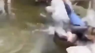 Funny video