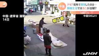 中国で“ポップコーン”が大爆発＆落下物に“上海ガニ”が活躍