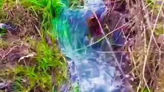 Шашлык