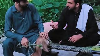 Bakri wala momla