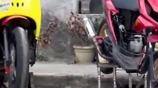 RACEBIKE♥️