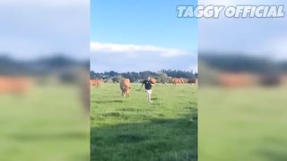 TRY NOT TO LAUGH ???? Best Funny Videos Compilation ???????????? Memes PART