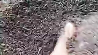 Today mustard mandi rate in India