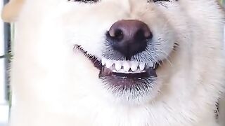 A little laughter