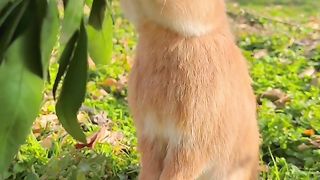 cute...