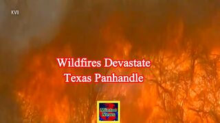 Wildfires devastate Texas Panhandle