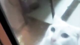 Tom and Jerry in real life
