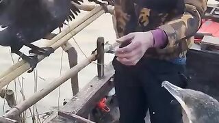 Фига се раздача на спавне