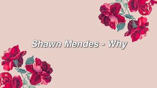 Shawn Mendes - Why {lyrics}