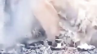 Наркоман қўй