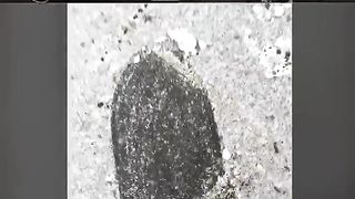 Нельзя смеяться Смех с водой  36 #shorts