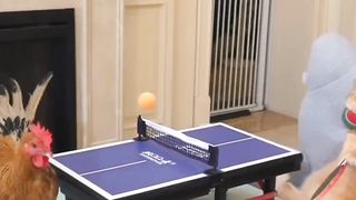 Just for fun