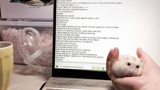 그립감 좋아보이는 햄스터