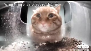 Mr. Freeze-Dried????the Cat Who Only Eats Freeze-Dried Food
