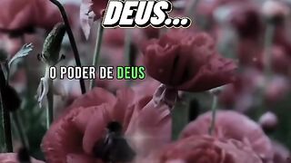 Descansa em Deus