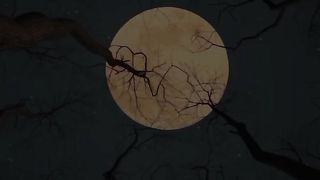 Beauty of Night