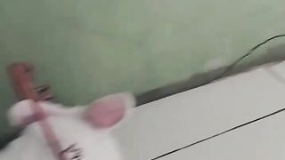 HOW I train my rabbit