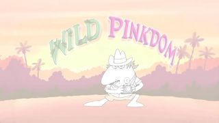 The Crazy Adventures of Pink Panther and Pals!   28 Minute Compilation