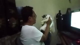 Cats always participate in the annoyance
