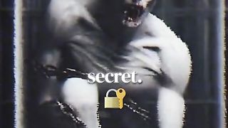 US captured a Vampire