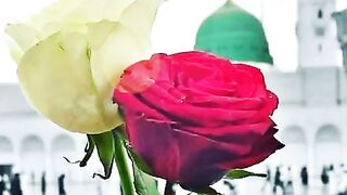 Naat rasool sw