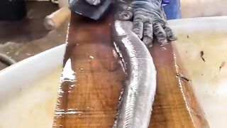 Wow Amazing Chef Filete Eel