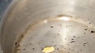 Tea lovers