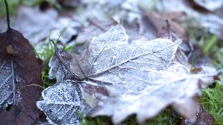 Relaxing Nature|Beautiful nature|Nature