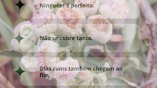 Lembretes!