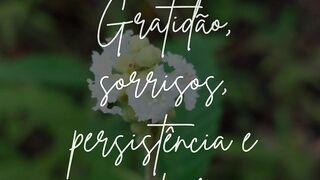 Vide de hoje!