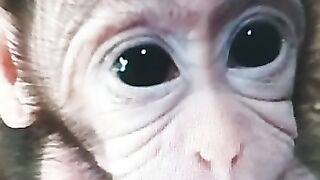 Mostre sua foto pequeno e agora! ;)