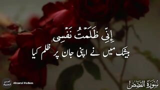 Quran Urdu Whatsapp status |Islamic Status |Islam | Quran Short ayat | Quran Short verse #Like #...