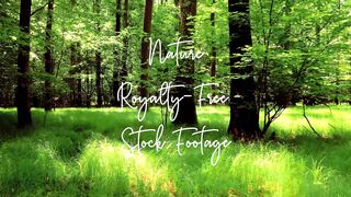 Nature Of World