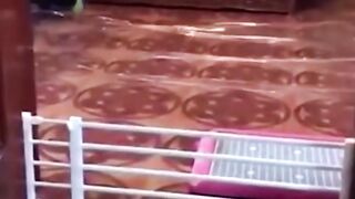 Funny animal videos ???? funniest Cate and dog animal video ????