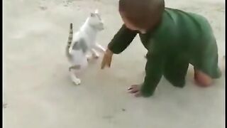 funny video